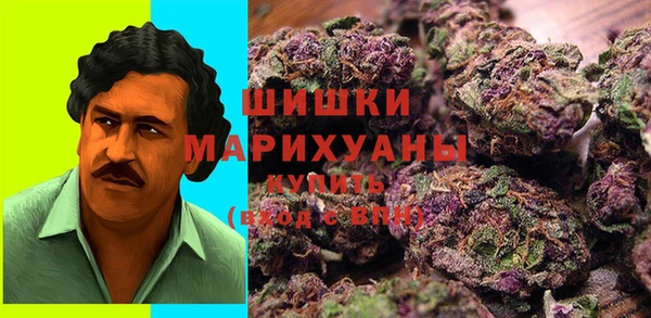 PSILOCYBIN Зерноград