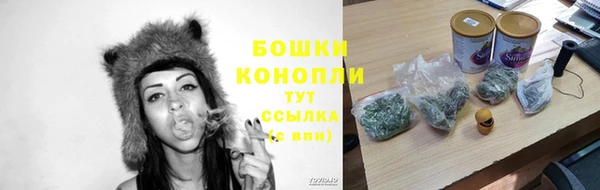 PSILOCYBIN Зерноград