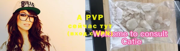 ECSTASY Зеленодольск