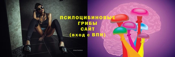 ECSTASY Зеленодольск