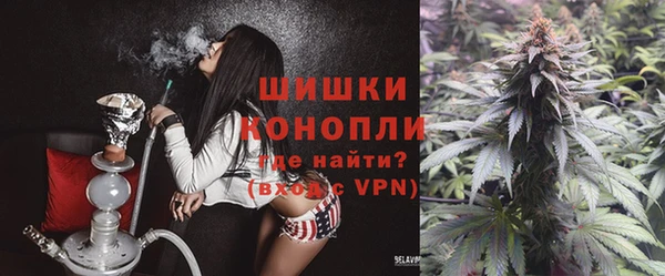 PSILOCYBIN Зерноград