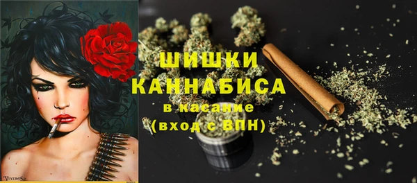 PSILOCYBIN Зерноград