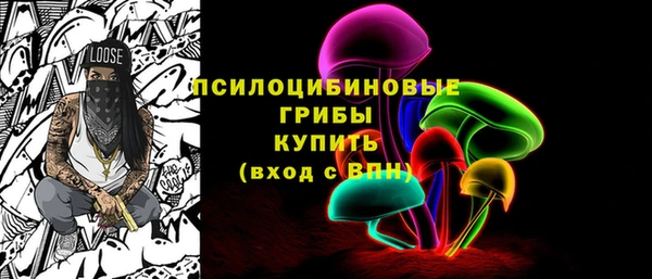 PSILOCYBIN Зерноград