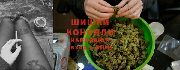 PSILOCYBIN Зерноград